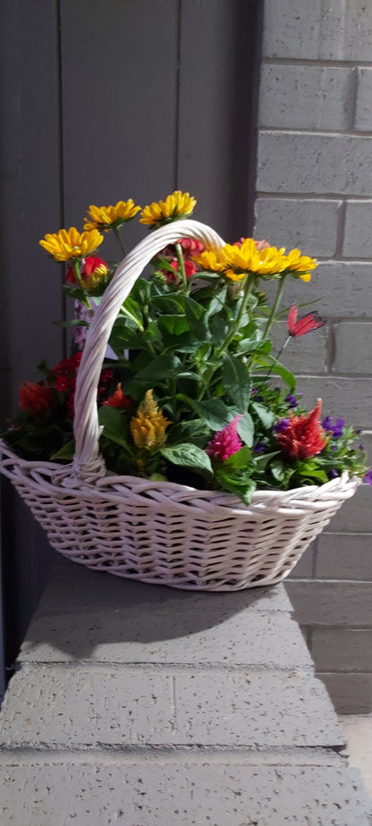 Garden Blooming Plant Baskets