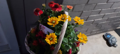 Garden Blooming Plant Baskets