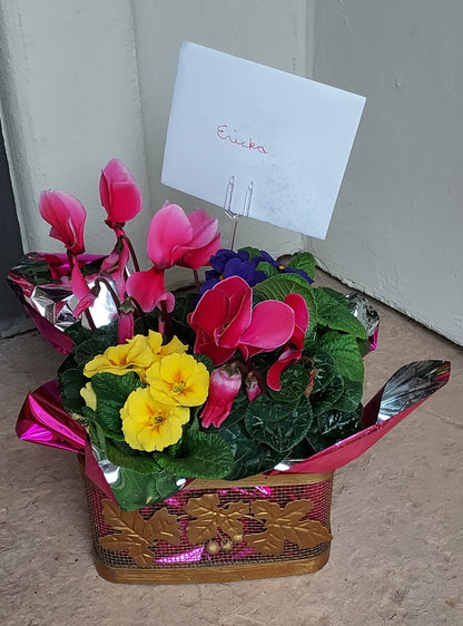 Garden Blooming Plant Baskets