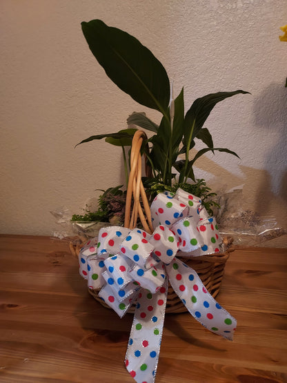 Garden Plant