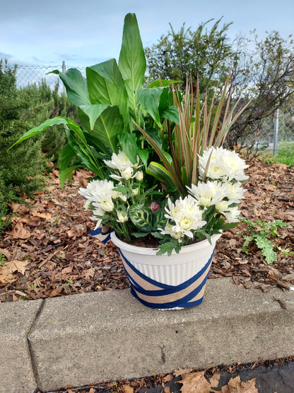 Garden Plant