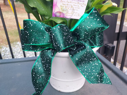 Garden Plant