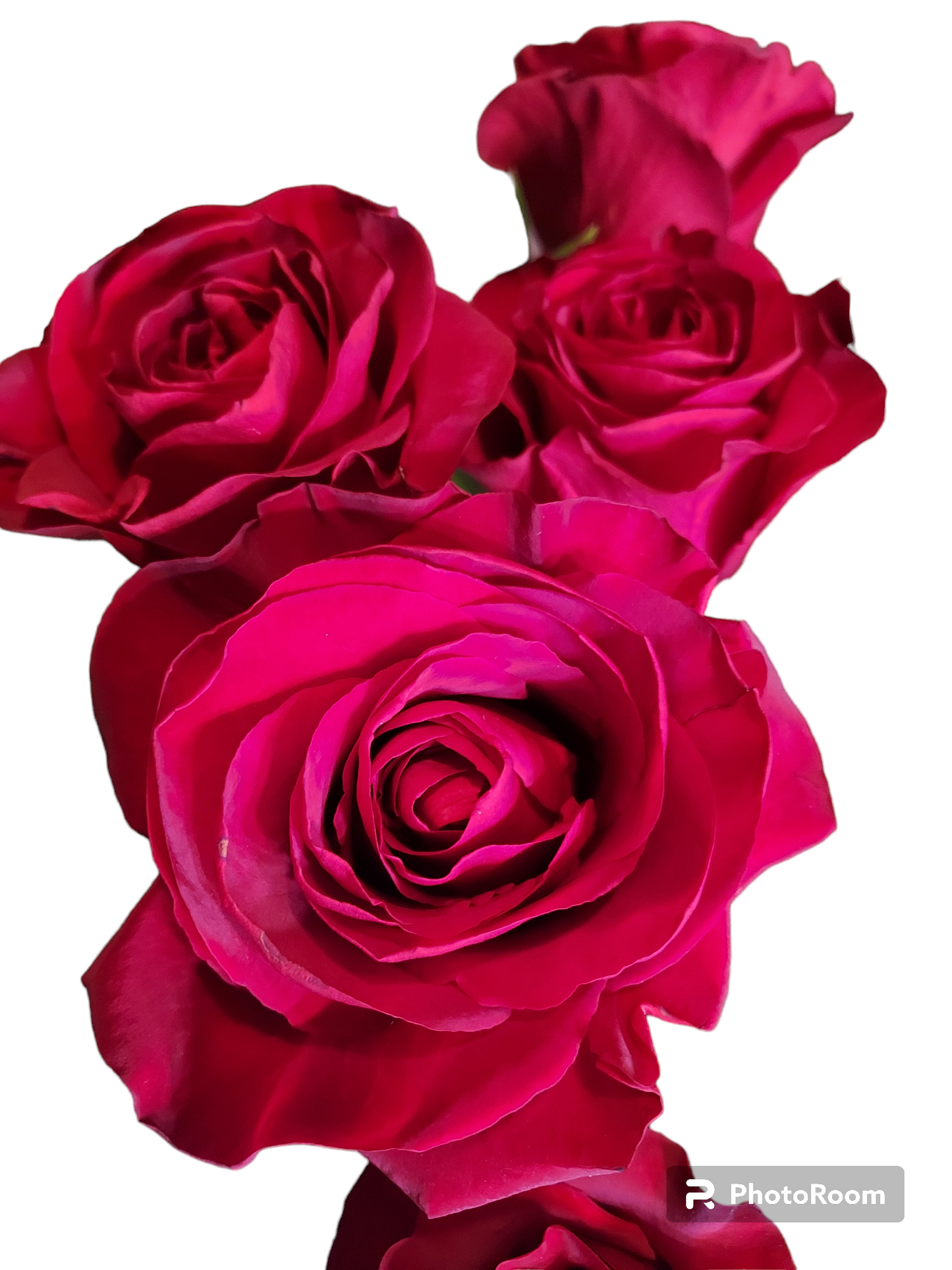 Valentines Dozen Long Stem Roses