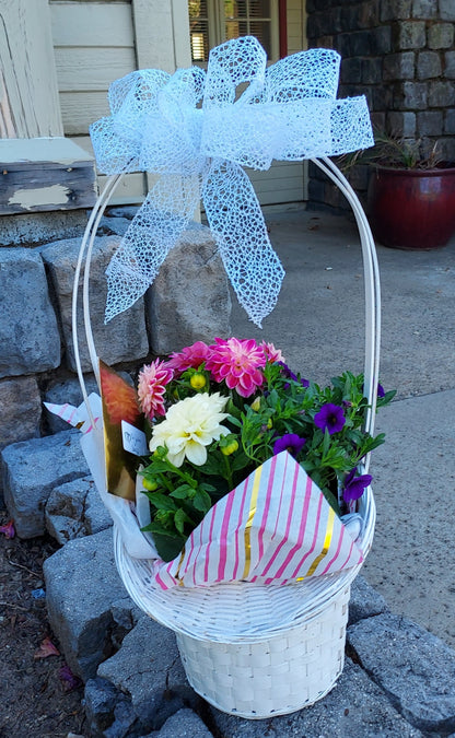 Garden Blooming Plant Baskets